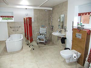 disabled bathroom